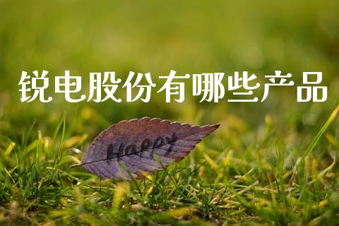 锐电股份有哪些产品_https://www.gongyisiwang.com_焦炭期货手续费_第1张