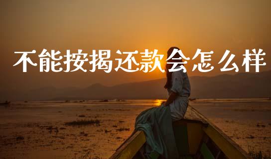 不能按揭还款会怎么样_https://www.gongyisiwang.com_股指期货交易手续费_第1张