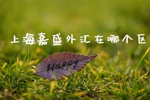 上海嘉盛外汇在哪个区_https://www.gongyisiwang.com_期货公司手续费排名_第1张