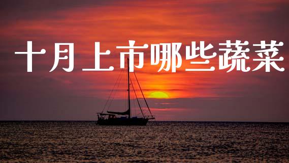 十月上市哪些蔬菜_https://www.gongyisiwang.com_广发期货手续费_第1张