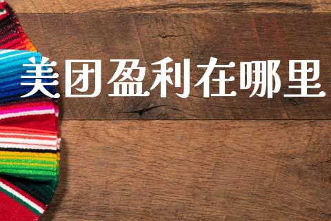 美团盈利在哪里_https://www.gongyisiwang.com_焦炭期货手续费_第1张