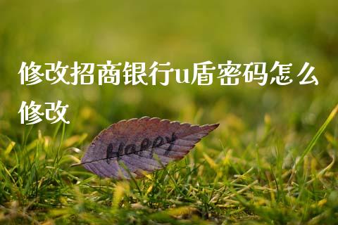 修改招商银行u盾密码怎么修改_https://www.gongyisiwang.com_焦炭期货手续费_第1张