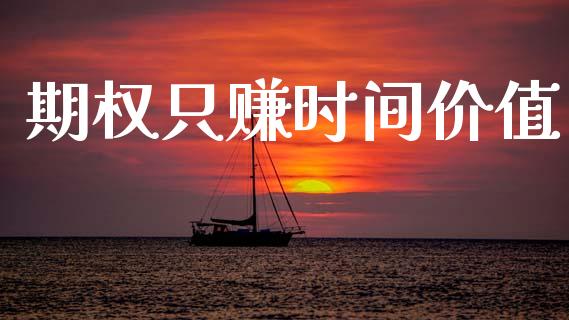 期权只赚时间价值_https://www.gongyisiwang.com_焦炭期货手续费_第1张