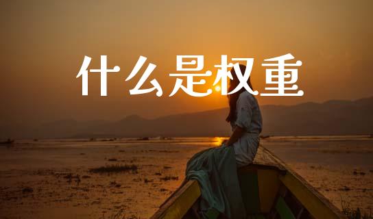 什么是权重_https://www.gongyisiwang.com_股指期货_第1张
