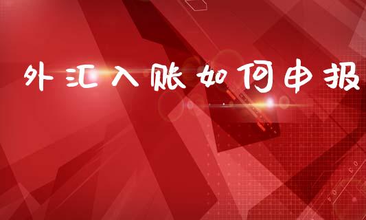 外汇入账如何申报_https://www.gongyisiwang.com_股指期货_第1张