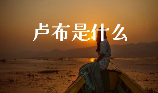 卢布是什么_https://www.gongyisiwang.com_广发期货手续费_第1张
