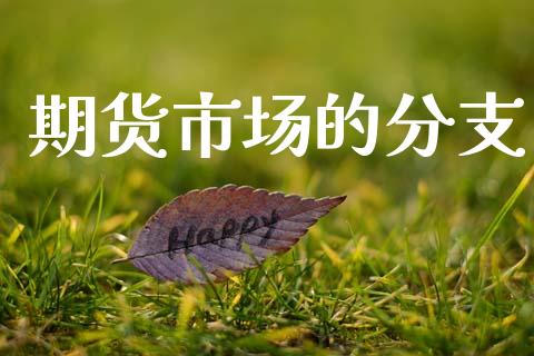 期货市场的分支_https://www.gongyisiwang.com_焦炭期货手续费_第1张