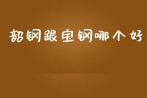 韶钢跟宝钢哪个好_https://www.gongyisiwang.com_广发期货手续费_第1张