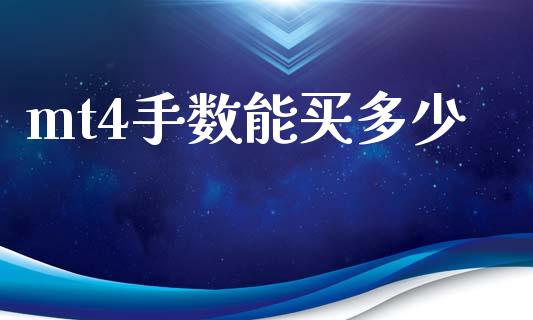 mt4手数能买多少_https://www.gongyisiwang.com_股指期货交易手续费_第1张