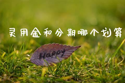 灵用金和分期哪个划算_https://www.gongyisiwang.com_股指期货_第1张