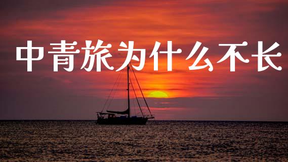 中青旅为什么不长_https://www.gongyisiwang.com_恒指期货_第1张