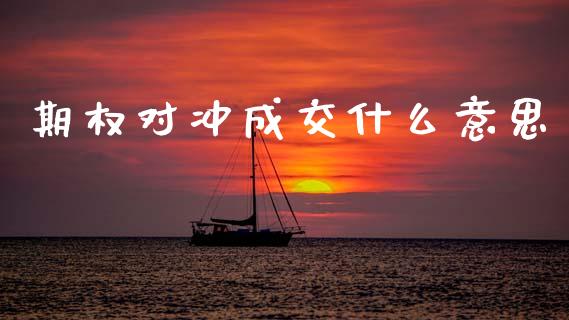 期权对冲成交什么意思_https://www.gongyisiwang.com_期货公司手续费排名_第1张