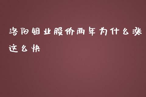 洛阳钼业股价两年为什么涨这么快_https://www.gongyisiwang.com_期货公司手续费排名_第1张