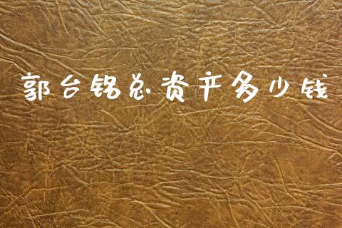 郭台铭总资产多少钱_https://www.gongyisiwang.com_股指期货交易手续费_第1张