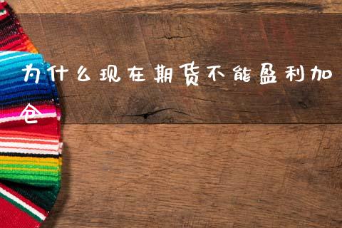 为什么现在期货不能盈利加仓_https://www.gongyisiwang.com_原油期货_第1张