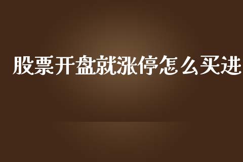股票开盘就涨停怎么买进_https://www.gongyisiwang.com_原油期货_第1张