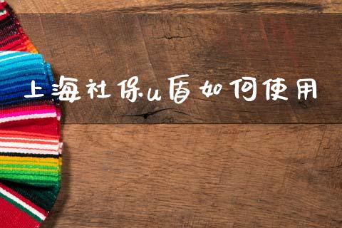 上海社保u盾如何使用_https://www.gongyisiwang.com_期货公司手续费排名_第1张