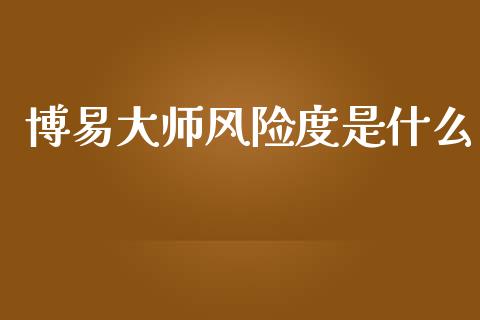 博易大师风险度是什么_https://www.gongyisiwang.com_股指期货_第1张