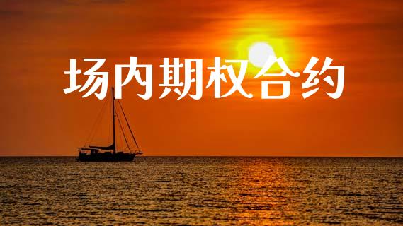 场内期权合约_https://www.gongyisiwang.com_期货公司手续费排名_第1张