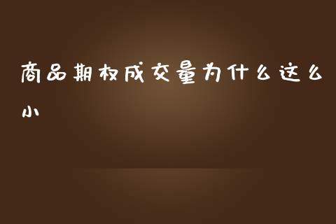商品期权成交量为什么这么小_https://www.gongyisiwang.com_恒指期货_第1张