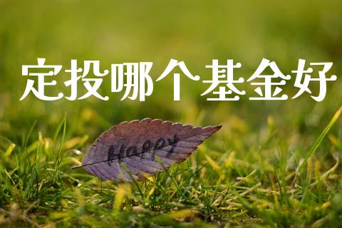定投哪个基金好_https://www.gongyisiwang.com_股指期货_第1张