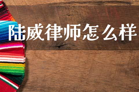 陆威律师怎么样_https://www.gongyisiwang.com_焦炭期货手续费_第1张