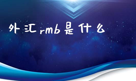 外汇rmb是什么_https://www.gongyisiwang.com_焦炭期货手续费_第1张