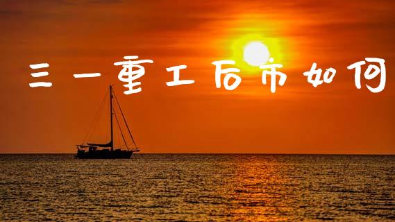 三一重工后市如何_https://www.gongyisiwang.com_期货公司手续费排名_第1张