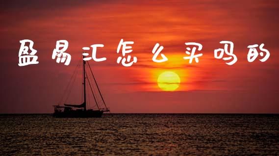 盈易汇怎么买吗的_https://www.gongyisiwang.com_原油期货_第1张