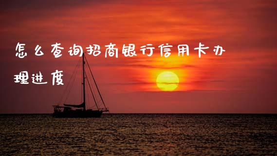 怎么查询招商银行信用卡办理进度_https://www.gongyisiwang.com_焦炭期货手续费_第1张