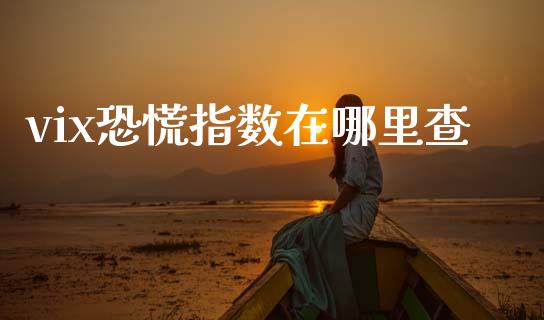 vix恐慌指数在哪里查_https://www.gongyisiwang.com_股指期货_第1张