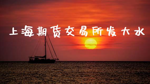 上海期货交易所发大水_https://www.gongyisiwang.com_焦炭期货手续费_第1张