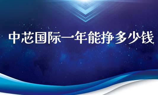 中芯国际一年能挣多少钱_https://www.gongyisiwang.com_股指期货交易手续费_第1张