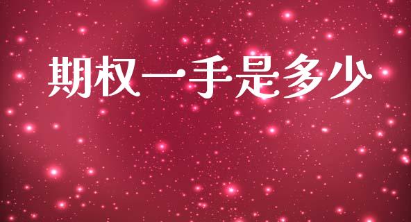 期权一手是多少_https://www.gongyisiwang.com_广发期货手续费_第1张