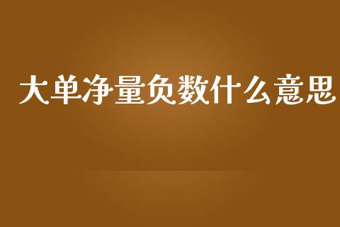 大单净量负数什么意思_https://www.gongyisiwang.com_广发期货手续费_第1张