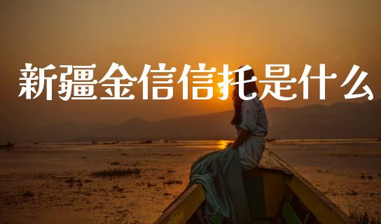新疆金信信托是什么_https://www.gongyisiwang.com_广发期货手续费_第1张