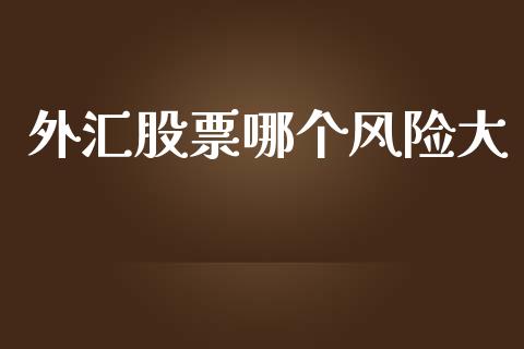 外汇股票哪个风险大_https://www.gongyisiwang.com_股指期货交易手续费_第1张