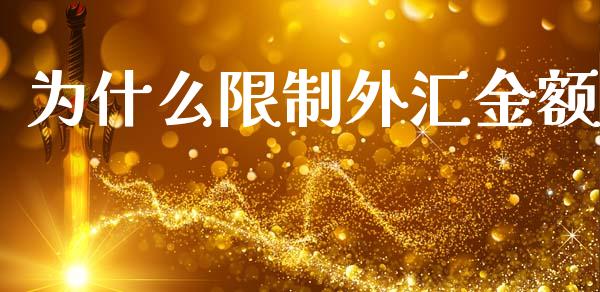 为什么限制外汇金额_https://www.gongyisiwang.com_原油期货_第1张