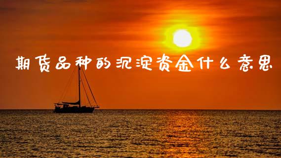 期货品种的沉淀资金什么意思_https://www.gongyisiwang.com_广发期货手续费_第1张