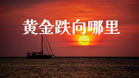 黄金跌向哪里_https://www.gongyisiwang.com_焦炭期货手续费_第1张