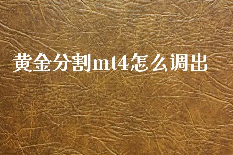 黄金分割mt4怎么调出_https://www.gongyisiwang.com_道指_第1张