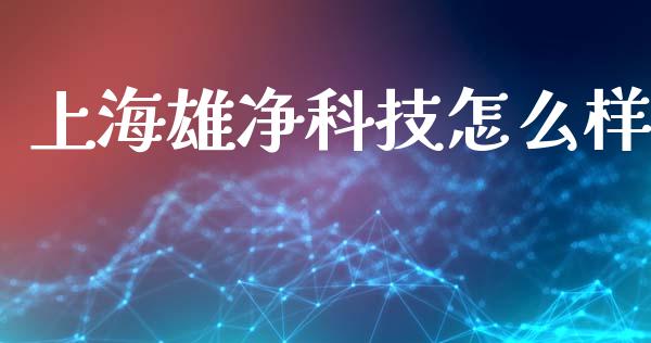 上海雄净科技怎么样_https://www.gongyisiwang.com_原油期货_第1张