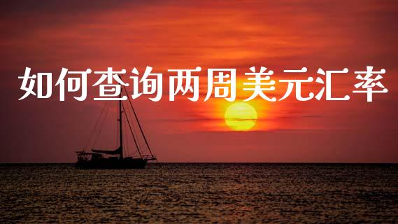 如何查询两周美元汇率_https://www.gongyisiwang.com_股指期货交易手续费_第1张