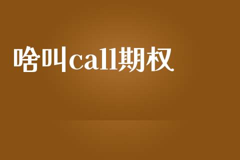 啥叫call期权_https://www.gongyisiwang.com_原油期货_第1张