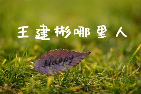 王建彬哪里人_https://www.gongyisiwang.com_股指期货交易手续费_第1张