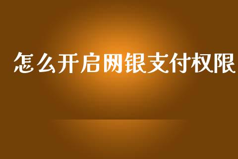 怎么开启网银支付权限_https://www.gongyisiwang.com_期货公司手续费排名_第1张