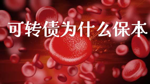 可转债为什么保本_https://www.gongyisiwang.com_股指期货交易手续费_第1张