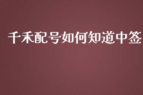 千禾配号如何知道中签_https://www.gongyisiwang.com_期货公司手续费排名_第1张