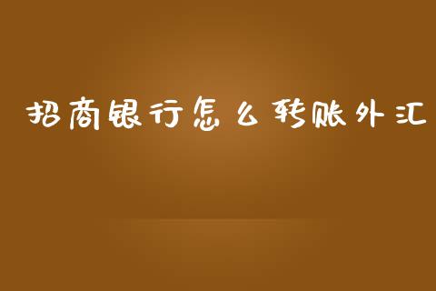 招商银行怎么转账外汇_https://www.gongyisiwang.com_股指期货交易手续费_第1张