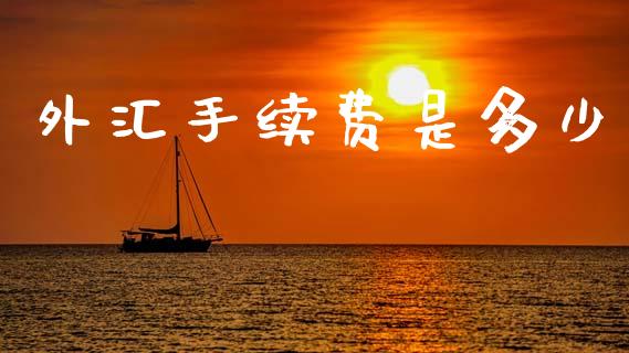 外汇手续费是多少_https://www.gongyisiwang.com_道指_第1张